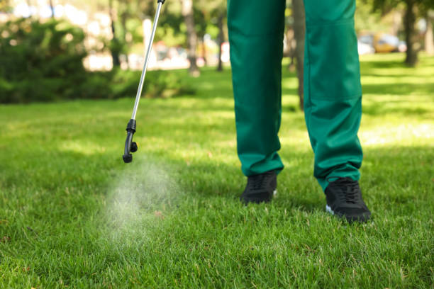 Flea Control Services in Umatilla, FL