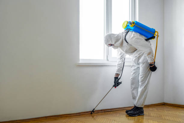 Best Ant Control Services  in Umatilla, FL